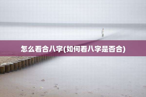 怎么看合八字(如何看八字是否合)