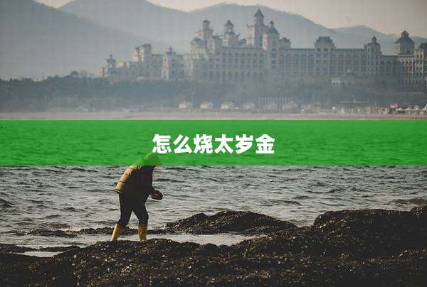 怎么烧太岁金