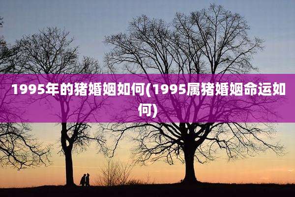 1995年的猪婚姻如何(1995属猪婚姻命运如何)