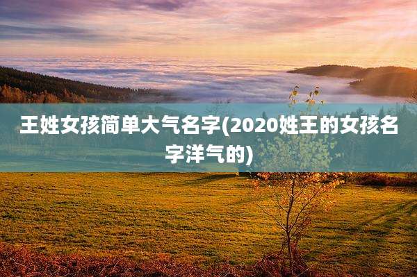 王姓女孩简单大气名字(2020姓王的女孩名字洋气的)