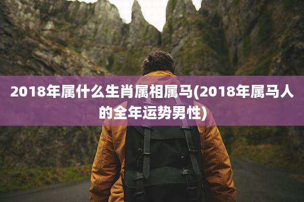 2018年属什么生肖属相属马(2018年属马人的全年运势男性)