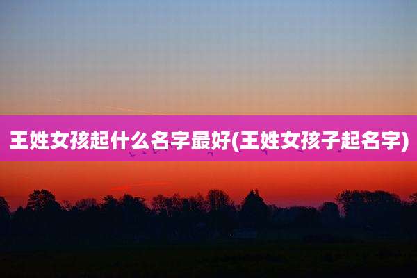 王姓女孩起什么名字最好(王姓女孩子起名字)