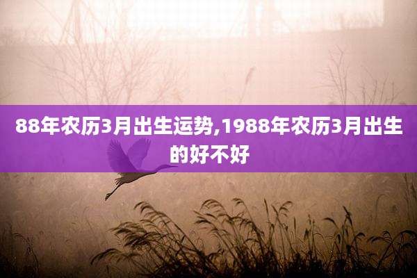 88年农历3月出生运势,1988年农历3月出生的好不好