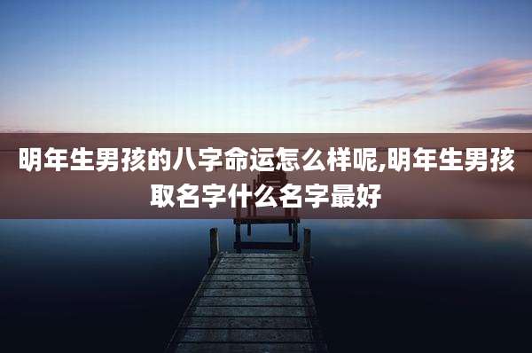 明年生男孩的八字命运怎么样呢,明年生男孩取名字什么名字最好