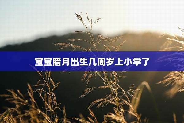 宝宝腊月出生几周岁上小学了