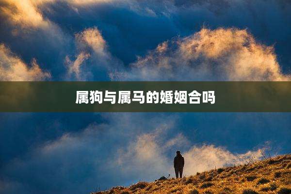 属狗与属马的婚姻合吗