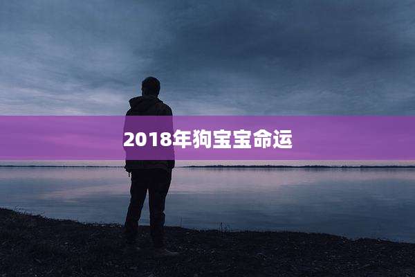 2018年狗宝宝命运