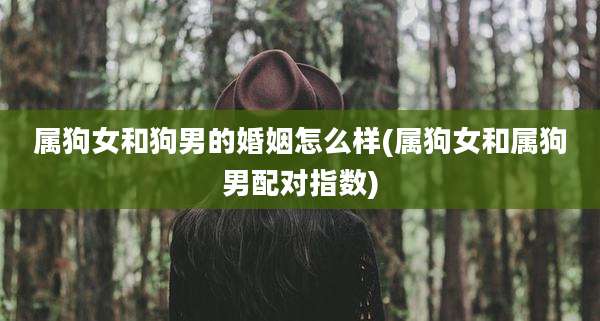 属狗女和狗男的婚姻怎么样(属狗女和属狗男配对指数)