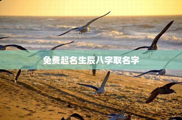 免费起名生辰八字取名字