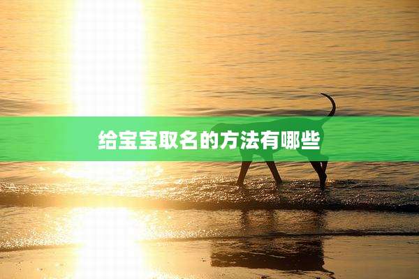 给宝宝取名的方法有哪些