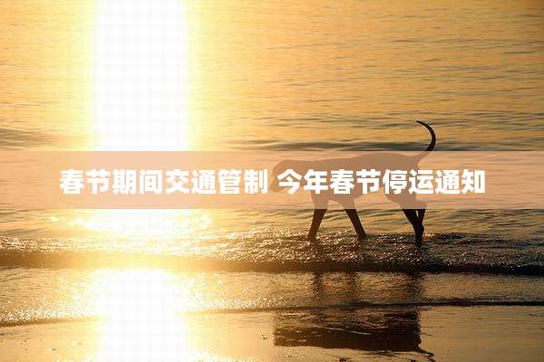春节期间交通管制 今年春节停运通知