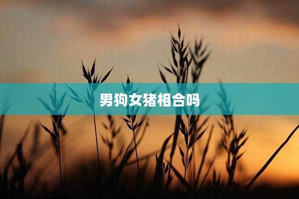 男狗女猪相合吗