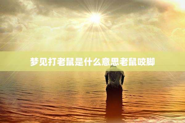 梦见打老鼠是什么意思老鼠咬脚