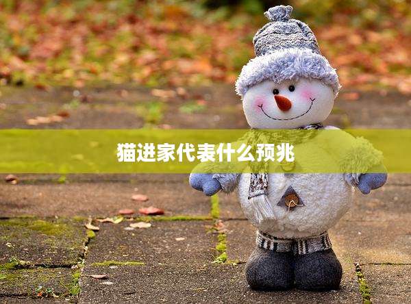 猫进家代表什么预兆
