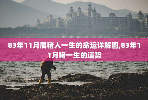 83年11月属猪人一生的命运详解图,83年11月猪一生的运势