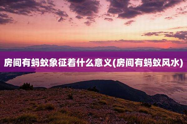 房间有蚂蚁象征着什么意义(房间有蚂蚁风水)