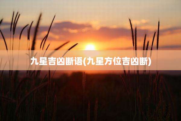 九星吉凶断语(九星方位吉凶断)