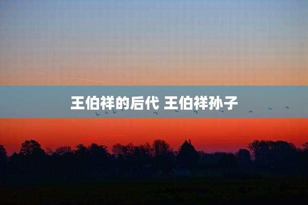 王伯祥的后代 王伯祥孙子