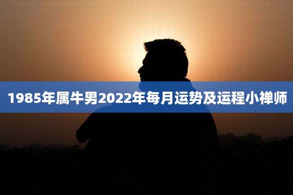 1985年属牛男2022年每月运势及运程小禅师