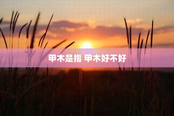 甲木是指 甲木好不好
