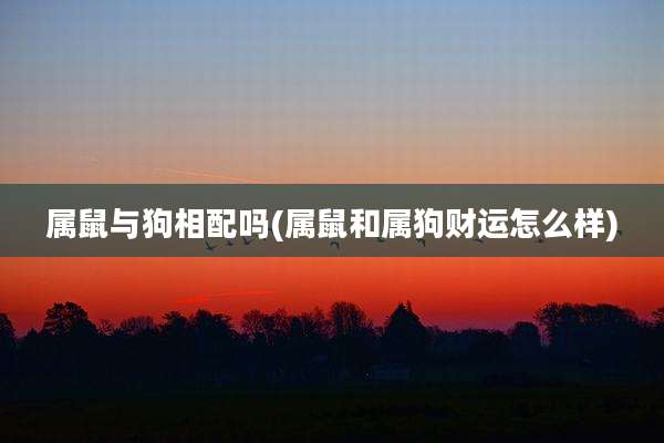 属鼠与狗相配吗(属鼠和属狗财运怎么样)