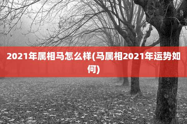 2021年属相马怎么样(马属相2021年运势如何)