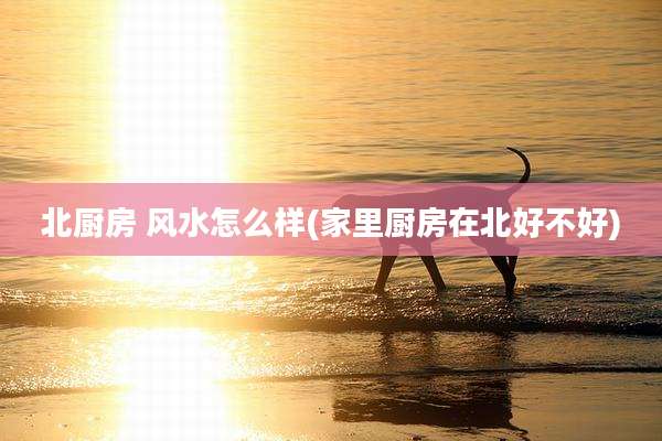 北厨房 风水怎么样(家里厨房在北好不好)