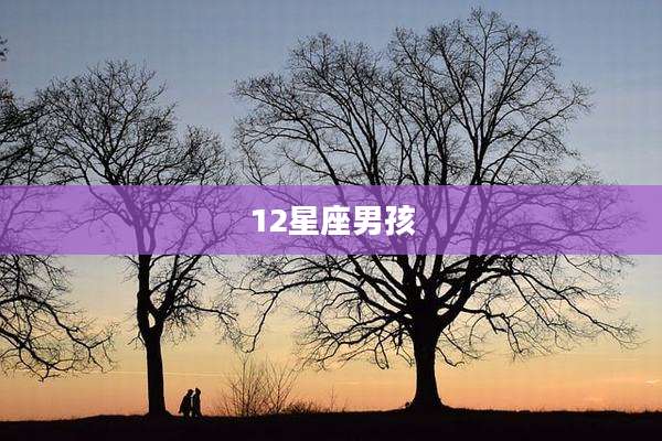 12星座男孩