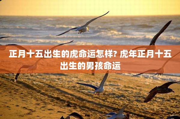 正月十五出生的虎命运怎样? 虎年正月十五出生的男孩命运