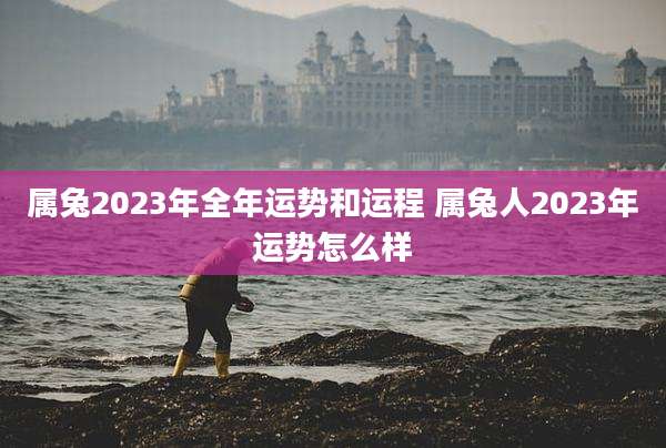 属兔2023年全年运势和运程 属兔人2023年运势怎么样