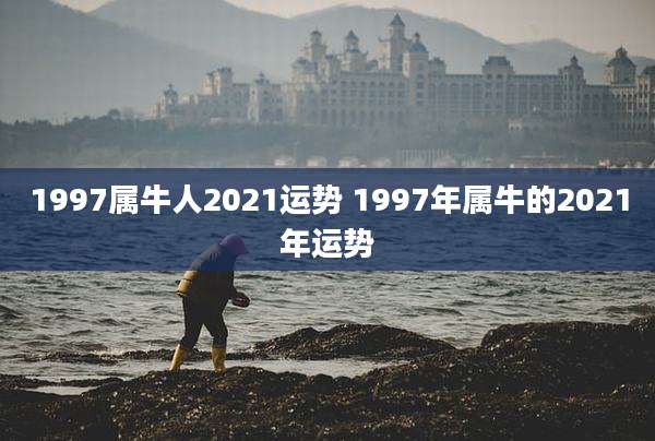 1997属牛人2021运势 1997年属牛的2021年运势
