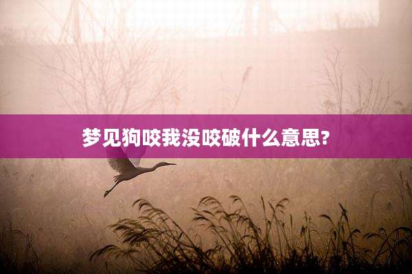 梦见狗咬我没咬破什么意思?