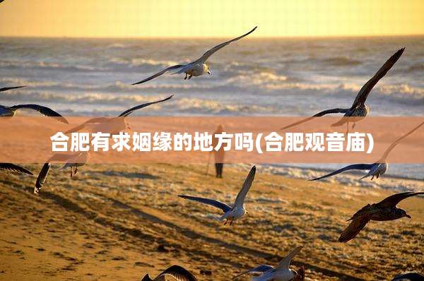 合肥有求姻缘的地方吗(合肥观音庙)