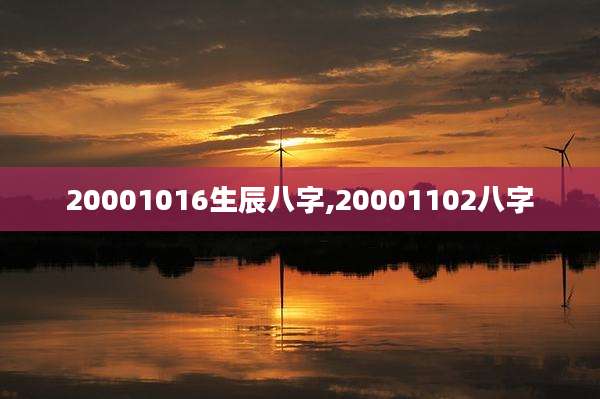 20001016生辰八字,20001102八字