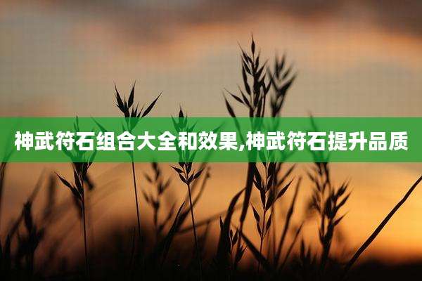 神武符石组合大全和效果,神武符石提升品质