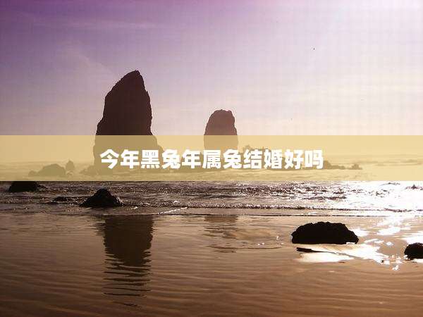 今年黑兔年属兔结婚好吗