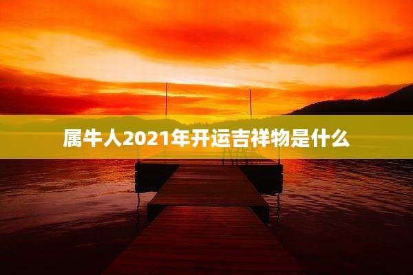 属牛人2021年开运吉祥物是什么