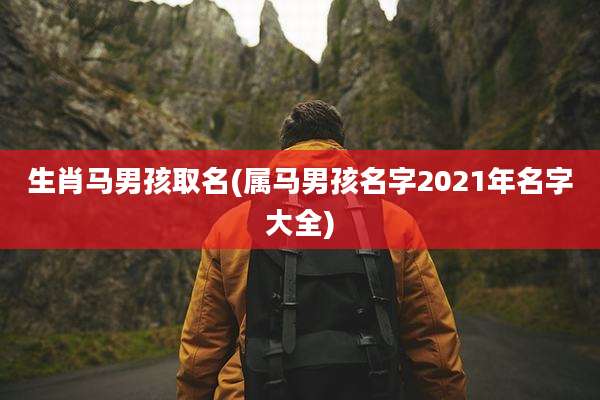 生肖马男孩取名(属马男孩名字2021年名字大全)