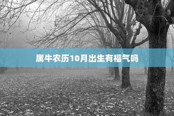 属牛农历10月出生有福气吗