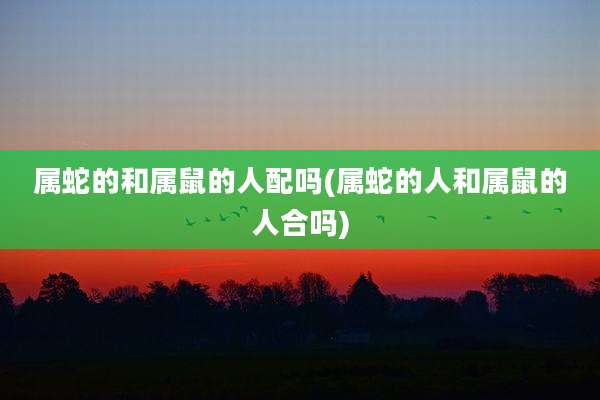 属蛇的和属鼠的人配吗(属蛇的人和属鼠的人合吗)