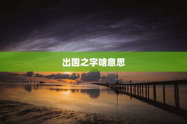 出国之字啥意思