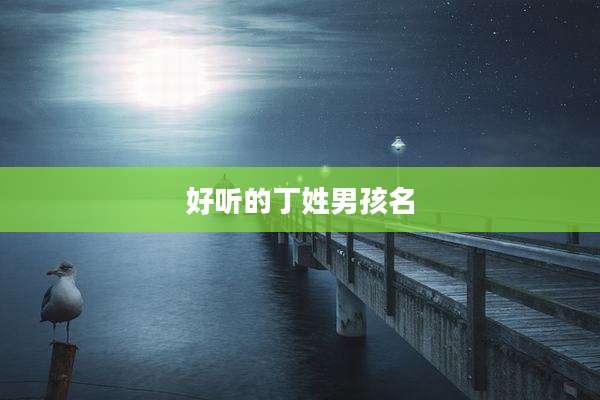 好听的丁姓男孩名