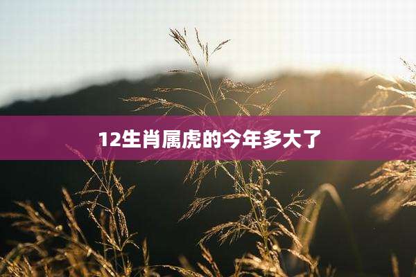 12生肖属虎的今年多大了
