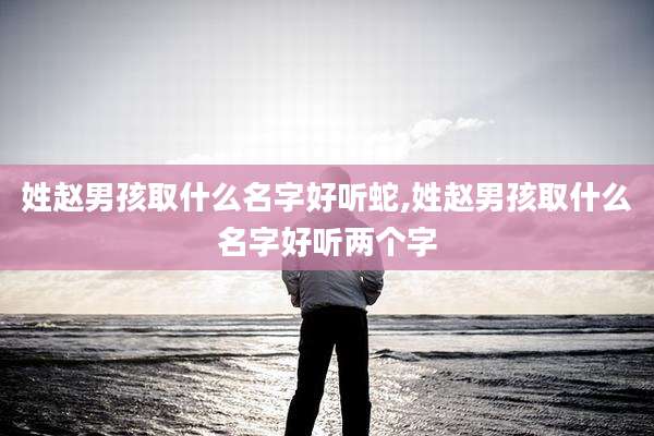 姓赵男孩取什么名字好听蛇,姓赵男孩取什么名字好听两个字