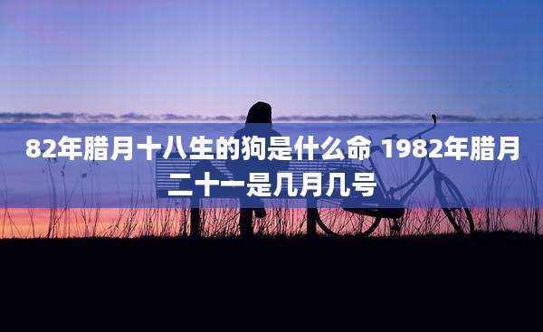 82年腊月十八生的狗是什么命 1982年腊月二十一是几月几号
