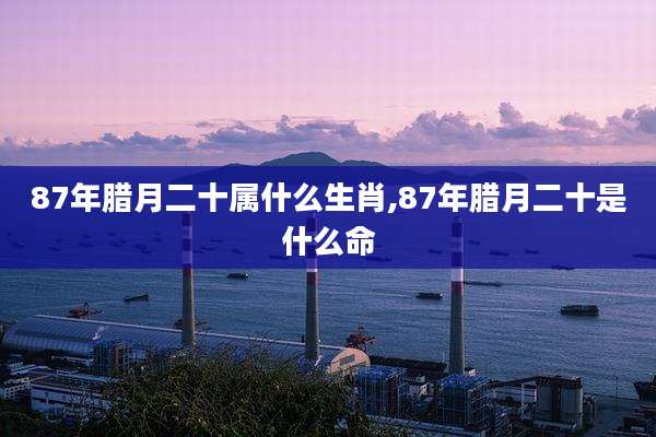 87年腊月二十属什么生肖,87年腊月二十是什么命