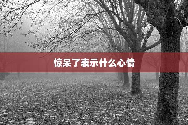 惊呆了表示什么心情