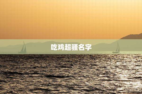 吃鸡超骚名字