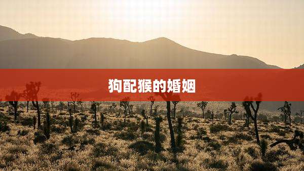 狗配猴的婚姻