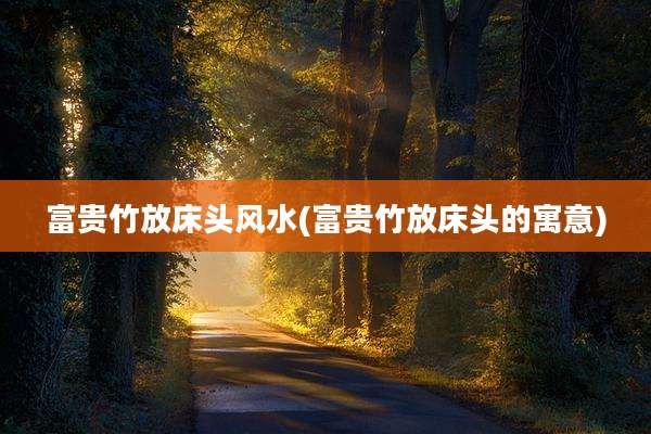 富贵竹放床头风水(富贵竹放床头的寓意)